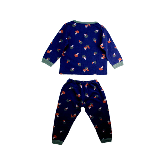 A Blue Pyjama Sets from Petit Bateau in size 2T for boy. (Back View)