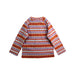 A Multicolour Long Sleeve Tops from Patagonia in size 2T for girl. (Back View)
