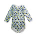 A Multicolour Long Sleeve Bodysuits from Petit Bateau in size 12-18M for boy. (Front View)