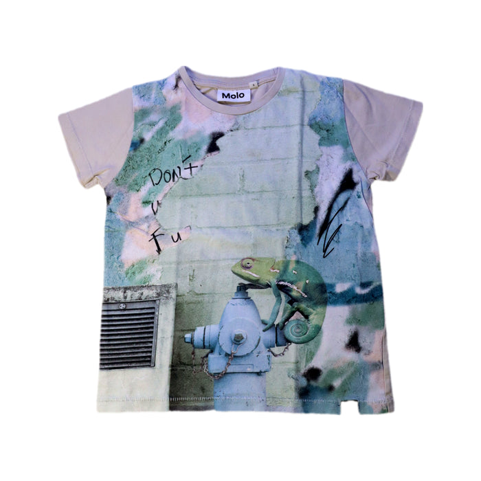 A Multicolour Short Sleeve T Shirts from Molo in size 5T for boy. (Front View)