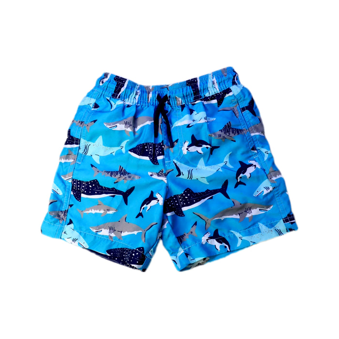 A Blue Shorts from Hatley in size 4T for boy. (Front View)