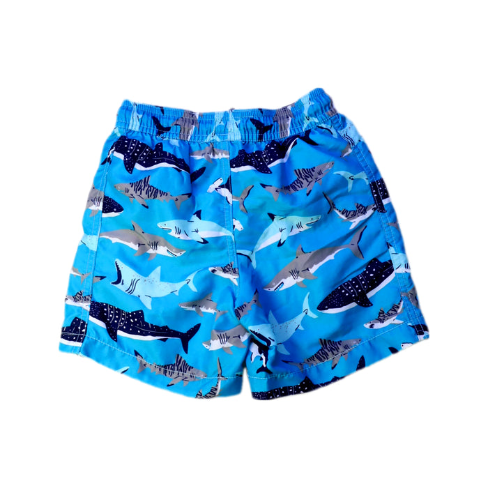 A Blue Shorts from Hatley in size 4T for boy. (Back View)