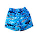 A Blue Shorts from Hatley in size 4T for boy. (Back View)