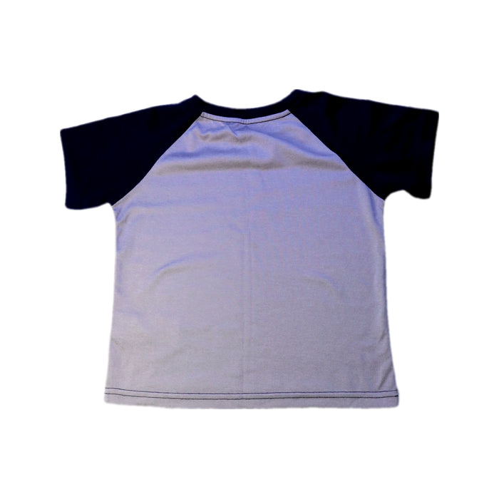 A Grey Short Sleeve T Shirts from Patagonia in size 4T for boy. (Back View)