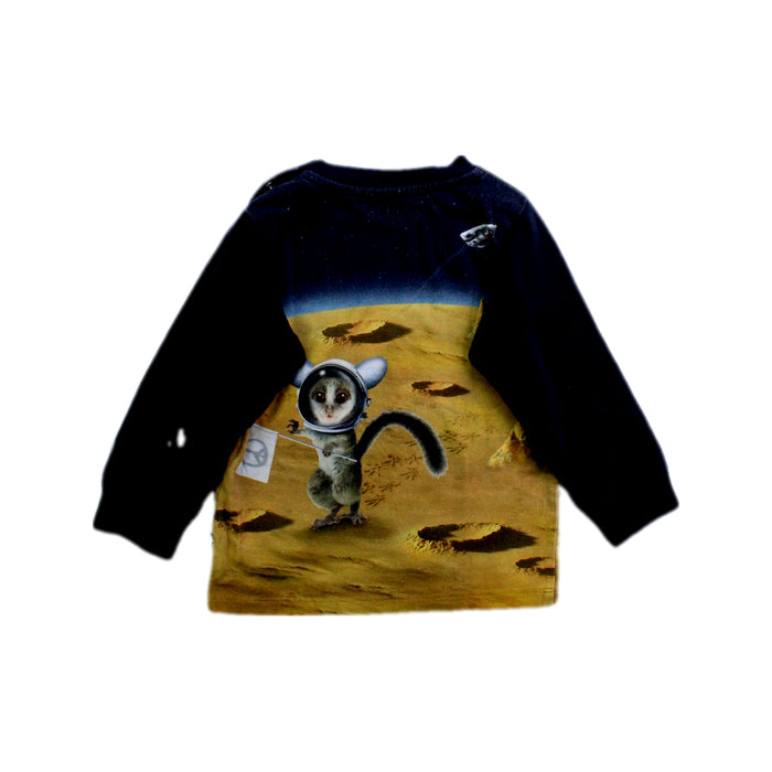 A Multicolour Long Sleeve Tops from Molo in size 12-18M for boy. (Back View)
