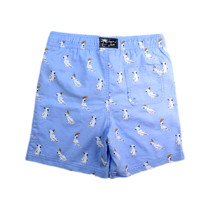 A Blue Shorts from Janie & Jack in size 10Y for boy. (Back View)