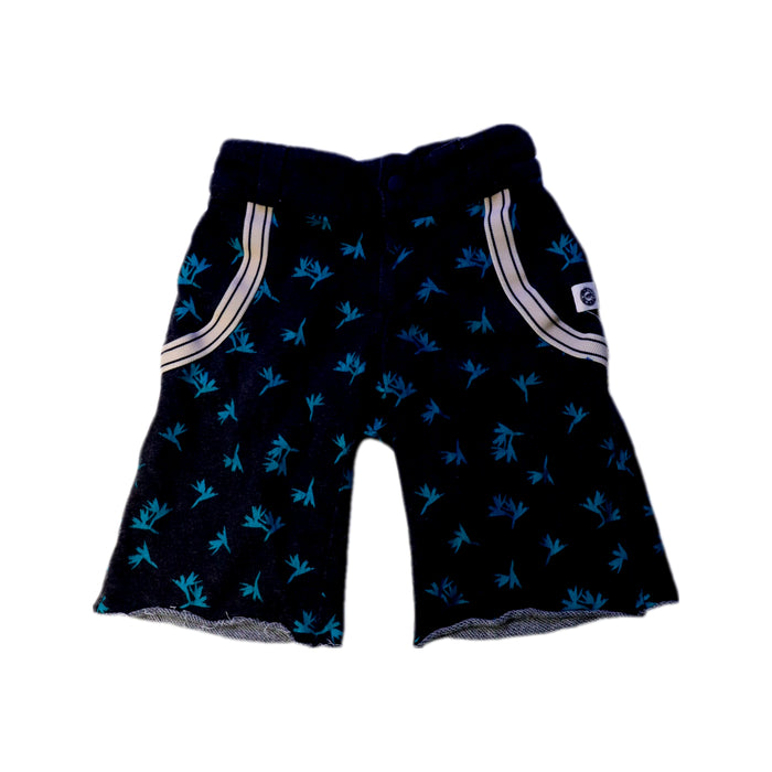 A Blue Shorts from Mini Shatsu in size 5T for boy. (Front View)