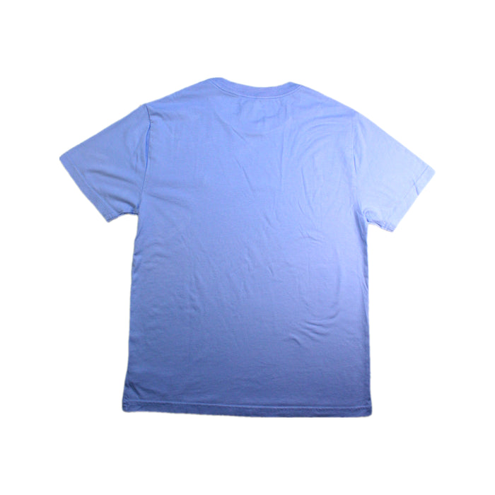 A Blue Short Sleeve T Shirts from Polo Ralph Lauren in size 10Y for boy. (Back View)