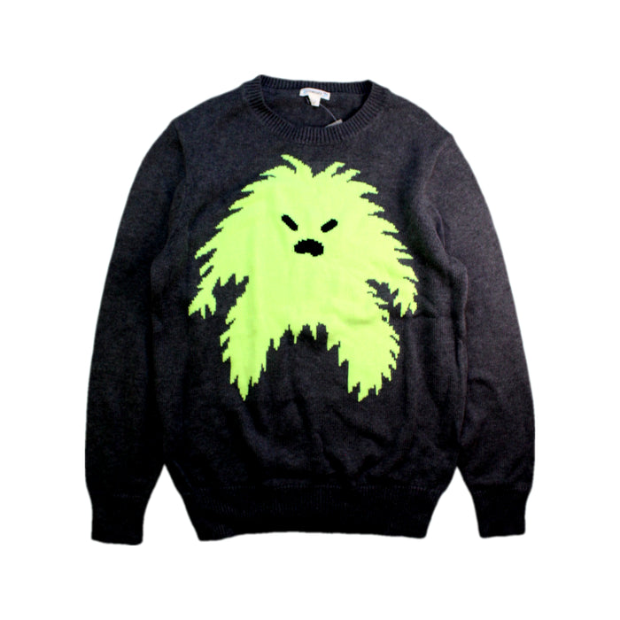 A Grey Crewneck Sweatshirts from Crewcuts in size 14Y for boy. (Front View)