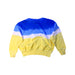 A Blue Crewneck Sweatshirts from Polo Ralph Lauren in size 3T for boy. (Back View)