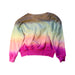 A Multicolour Crewneck Sweatshirts from Polo Ralph Lauren in size 4T for girl. (Back View)