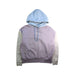 A Purple Hooded Sweatshirts from Nike in size 13Y for neutral. (Front View)