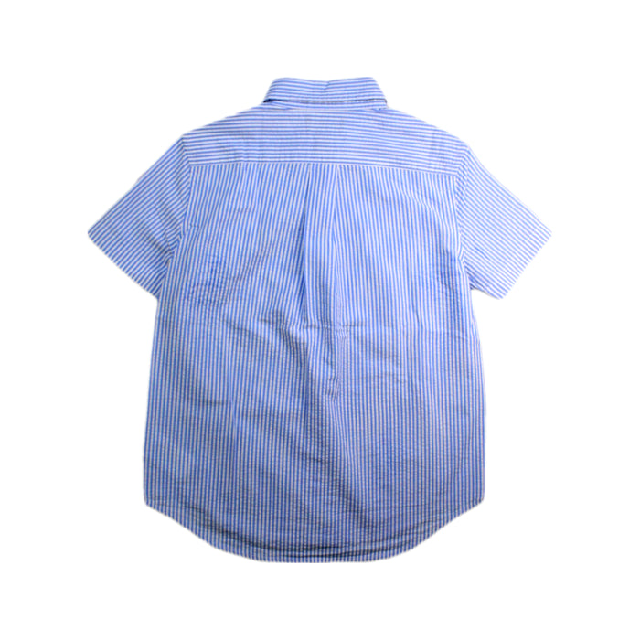 A Blue Short Sleeve Shirts from Polo Ralph Lauren in size 6T for boy. (Back View)