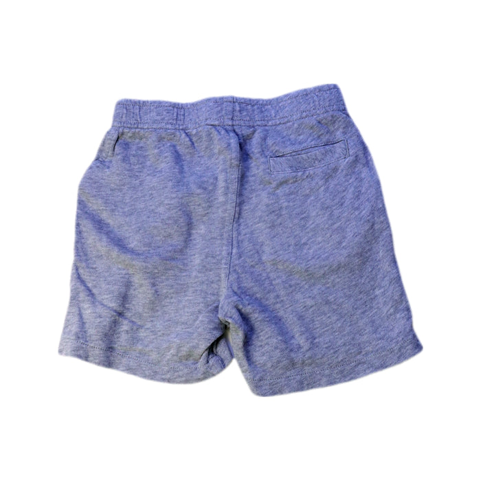 A Blue Shorts from Ralph Lauren in size 2T for boy. (Back View)