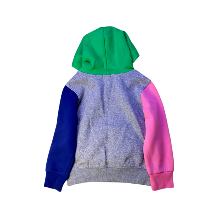 A Multicolour Hooded Sweatshirts from Polo Ralph Lauren in size 4T for boy. (Back View)