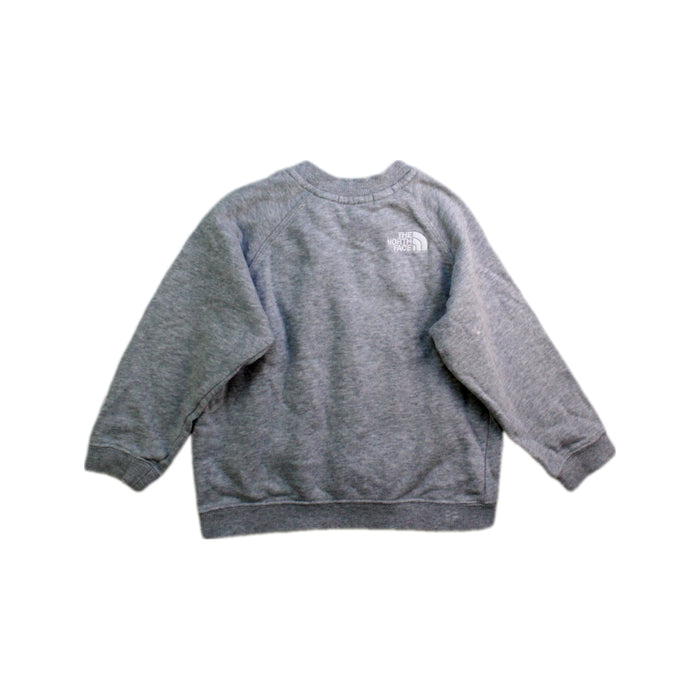 A Grey Zippered Sweatshirts from The North Face in size 18-24M for boy. (Back View)