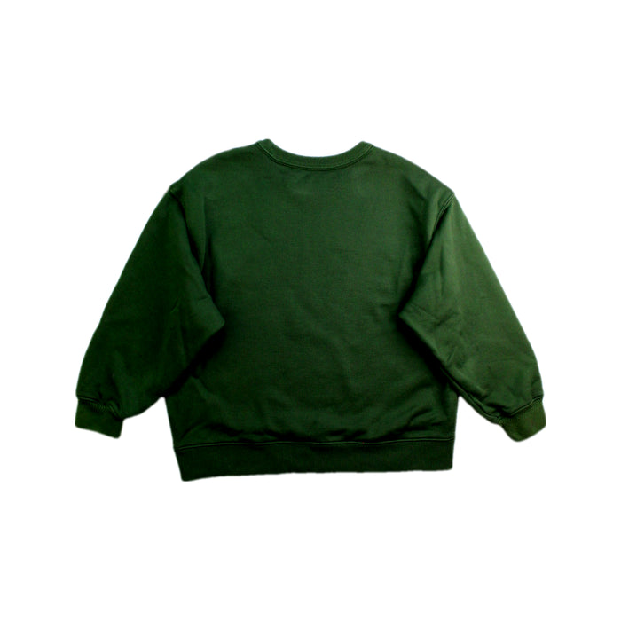 A Green Crewneck Sweatshirts from jnby by JNBY in size 4T for girl. (Back View)