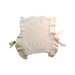 A Beige Sleeveless Tops from  C'era una volta in size 3T for girl. (Back View)