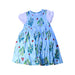 A Blue Short Sleeve Dresses from Hakka in size 5T for girl. (Front View)