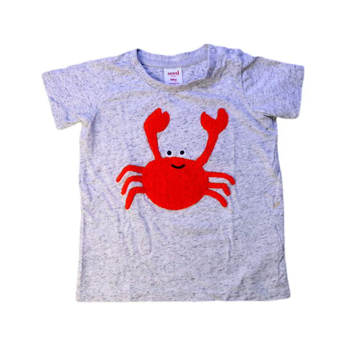 A Grey Short Sleeve T Shirts from Seed in size 12-18M for boy. (Front View)