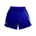 A Blue Active Shorts from Under Armour in size 6T for neutral. (Front View)