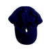 A Navy Caps from Polo Ralph Lauren in size 2T for neutral. (Front View)