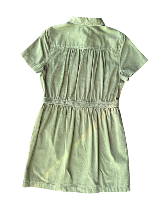 A Green Short Sleeve Dresses from Crewcuts in size 14Y for girl. (Back View)