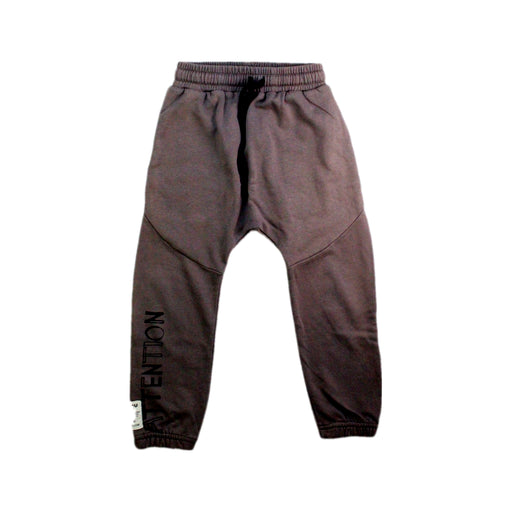 A Grey Sweatpants from Nununu in size 3T for boy. (Front View)