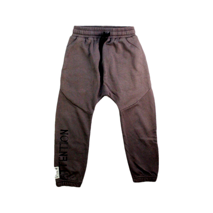 A Grey Sweatpants from Nununu in size 3T for boy. (Front View)