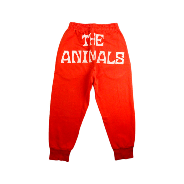 A Red Sweatpants from The Animals Observatory in size 6T for boy. (Back View)