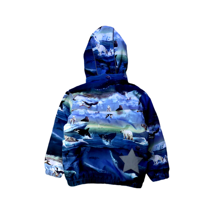 A Blue Puffer/Quilted Coats & Outerwear from Molo in size 6T for neutral. (Back View)