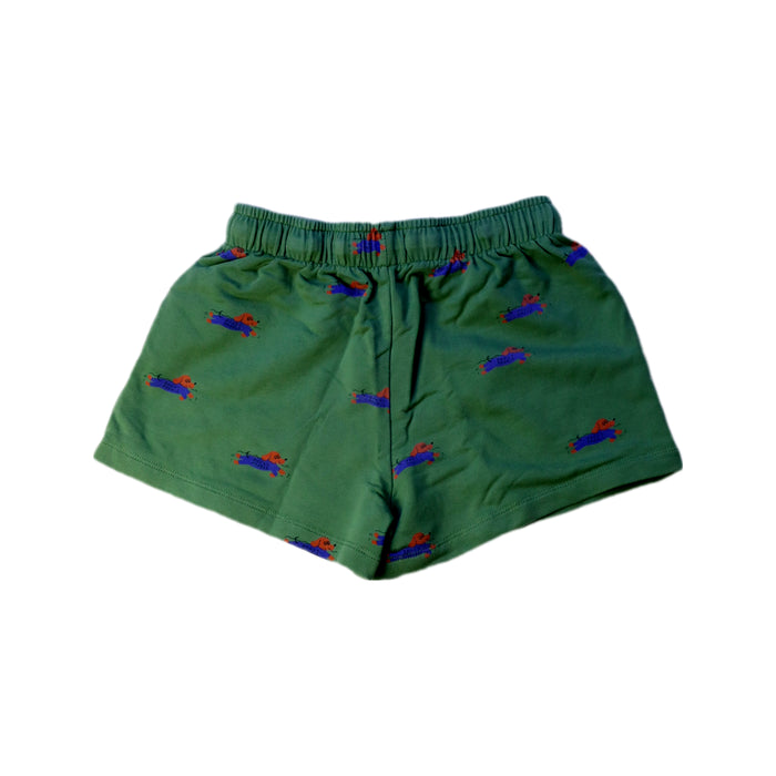A Green Shorts from Tinycottons in size 6T for boy. (Back View)
