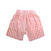 A Pink Shorts from 1 + in the family in size 4T for boy. (Back View)