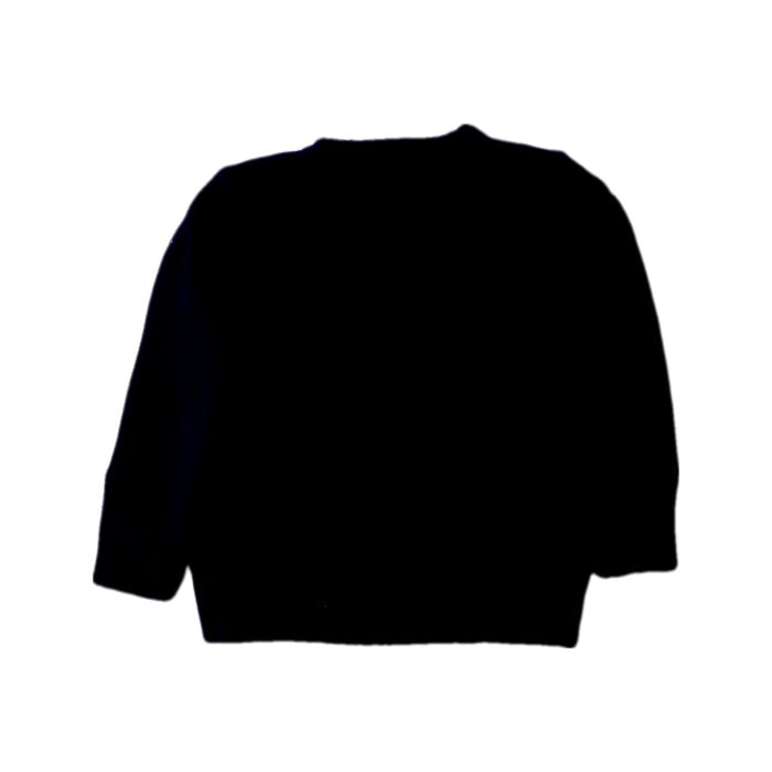 A Navy Knit Sweaters from Polo Ralph Lauren in size 3T for boy. (Back View)