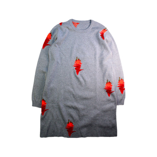A Grey Long Sleeve Dresses from jnby by JNBY in size 13Y for girl. (Front View)