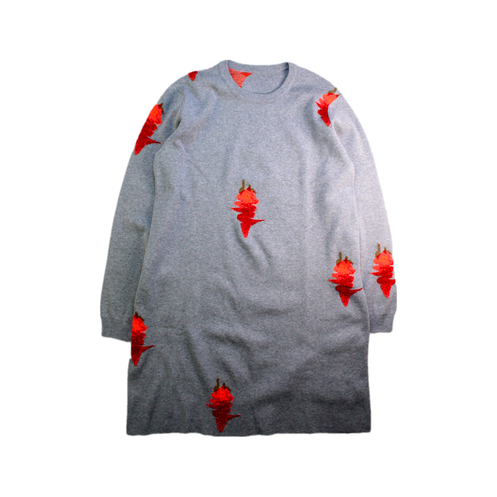 A Grey Long Sleeve Dresses from jnby by JNBY in size 13Y for girl. (Front View)