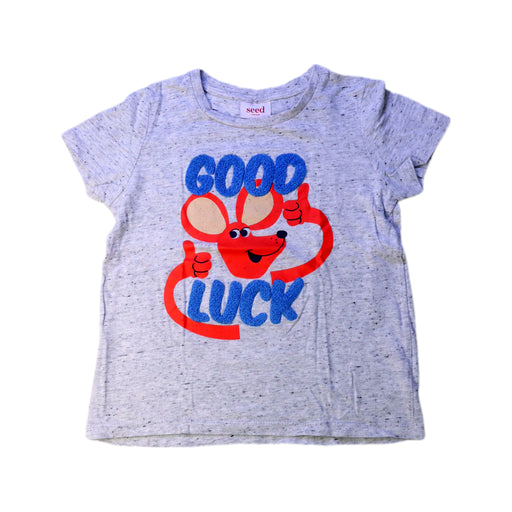 A Grey Short Sleeve T Shirts from Seed in size 4T for boy. (Front View)