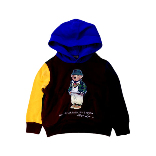 A Multicolour Hooded Sweatshirts from Polo Ralph Lauren in size 4T for boy. (Front View)