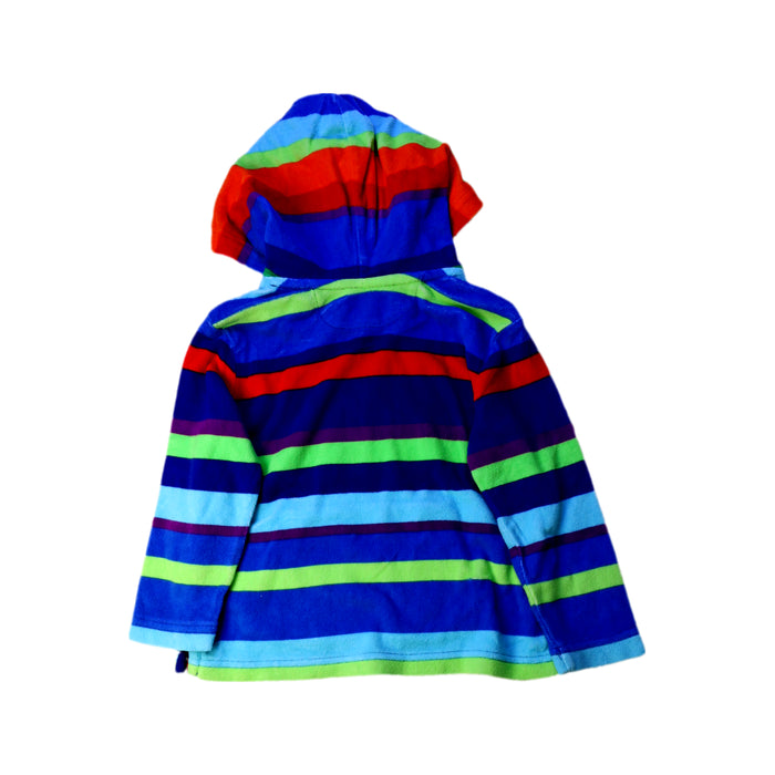 A Multicolour Hooded Sweatshirts from Polo Ralph Lauren in size 3T for boy. (Back View)