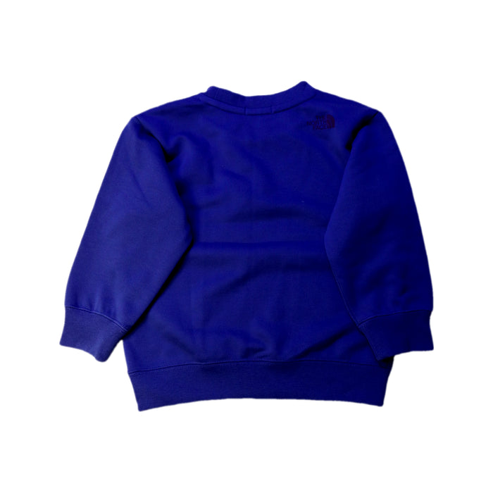 A Blue Crewneck Sweatshirts from The North Face in size 2T for boy. (Back View)