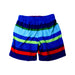 A Multicolour Swim Shorts from Polo Ralph Lauren in size 3T for boy. (Back View)