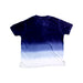 A Blue Short Sleeve Polos from Polo Ralph Lauren in size 2T for boy. (Back View)