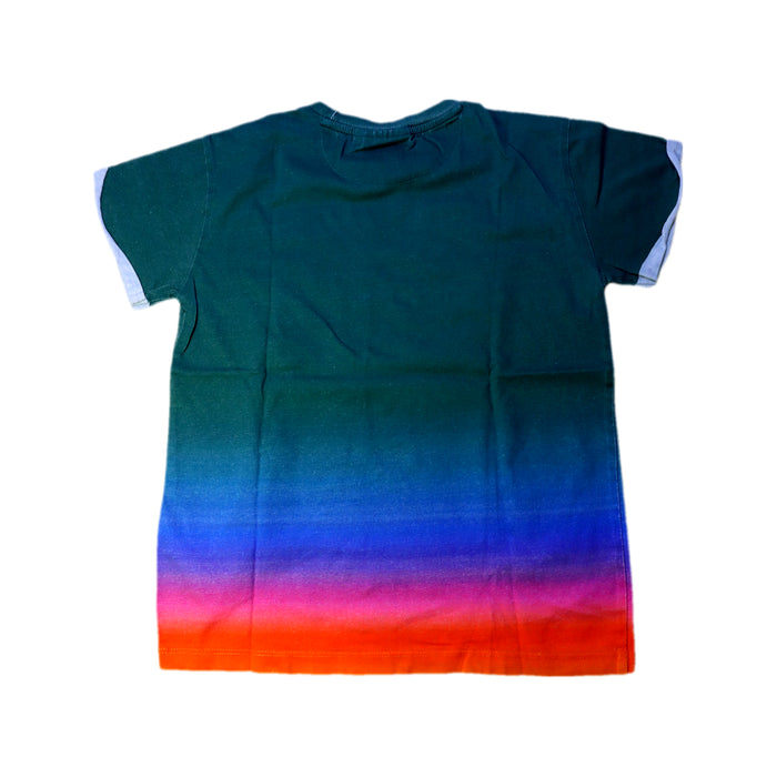 A Green Short Sleeve T Shirts from Molo in size 10Y for boy. (Back View)