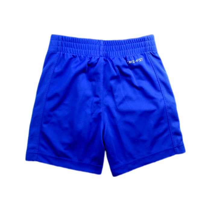 A Blue Shorts from Nike in size 4T for boy. (Back View)