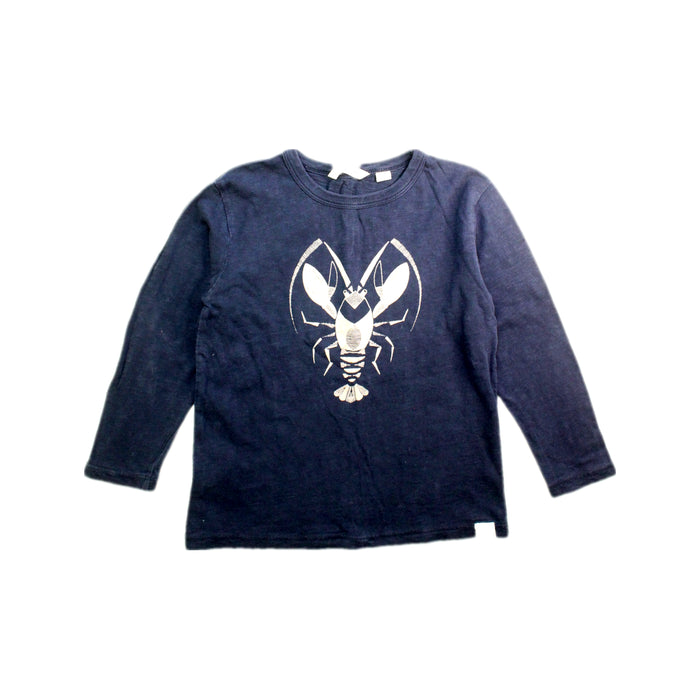 A Navy Long Sleeve T Shirts from Country Road in size 4T for boy. (Front View)