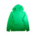 A Green Hooded Sweatshirts from Polo Ralph Lauren in size 14Y for boy. (Back View)