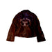 A Brown Lightweight Jackets from Polo Ralph Lauren in size 4T for boy. (Back View)