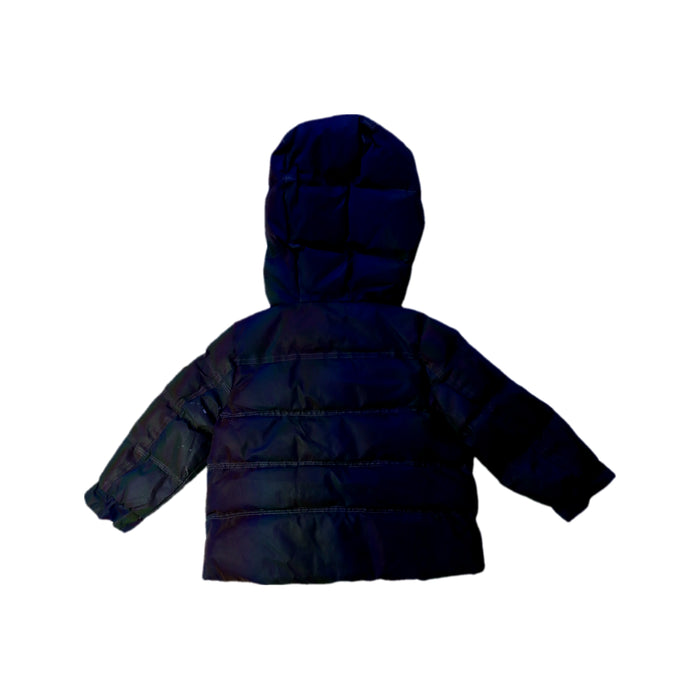 A Navy Puffer/Quilted Jackets from Velveteen in size 3T for neutral. (Back View)