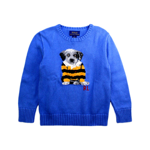 A Blue Knit Sweaters from Polo Ralph Lauren in size 5T for boy. (Front View)