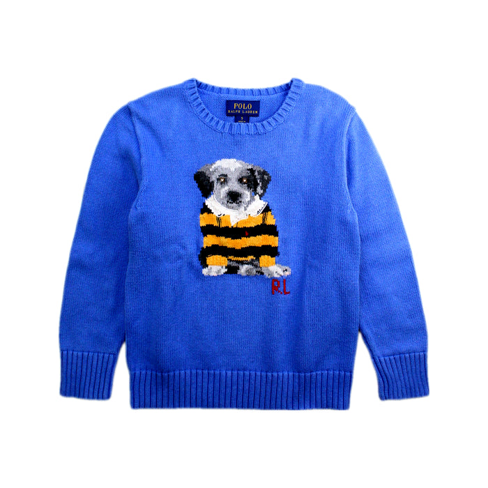 A Blue Knit Sweaters from Polo Ralph Lauren in size 5T for boy. (Front View)